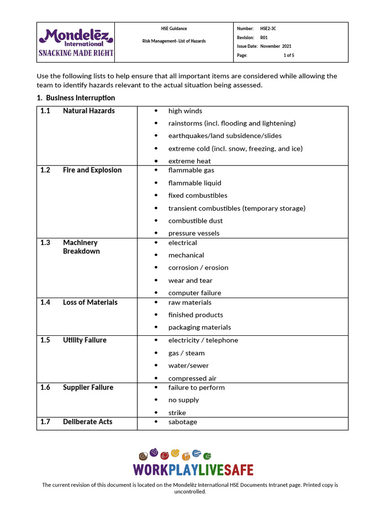 HSE Risk Management Hazard List | PDF | Radiation | Combustion