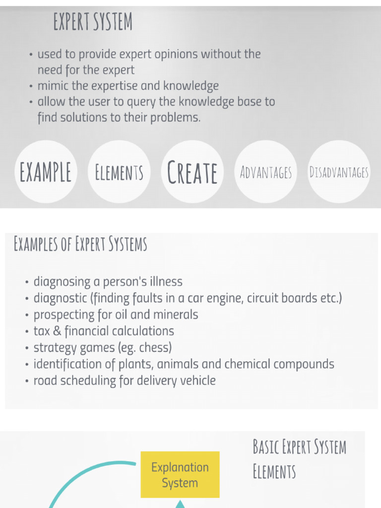Expert System | PDF