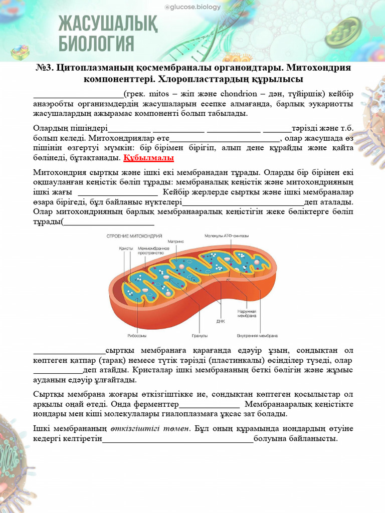 Ірі пландағы порно минет