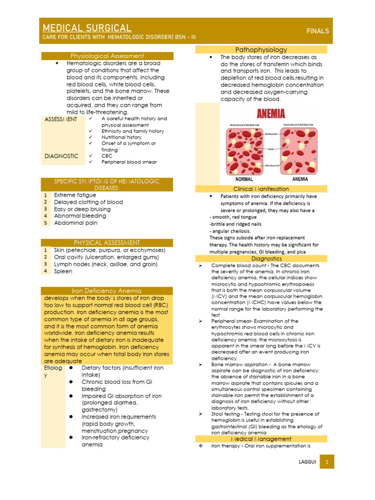 Hematologic Disorders: Anemia Care Guide | PDF | Anemia | Bleeding