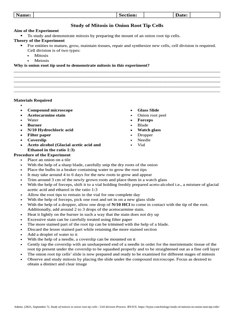 BIO 2 - Study of Mitosis in Onion Root Tip Cells | PDF | Mitosis | Cell ...