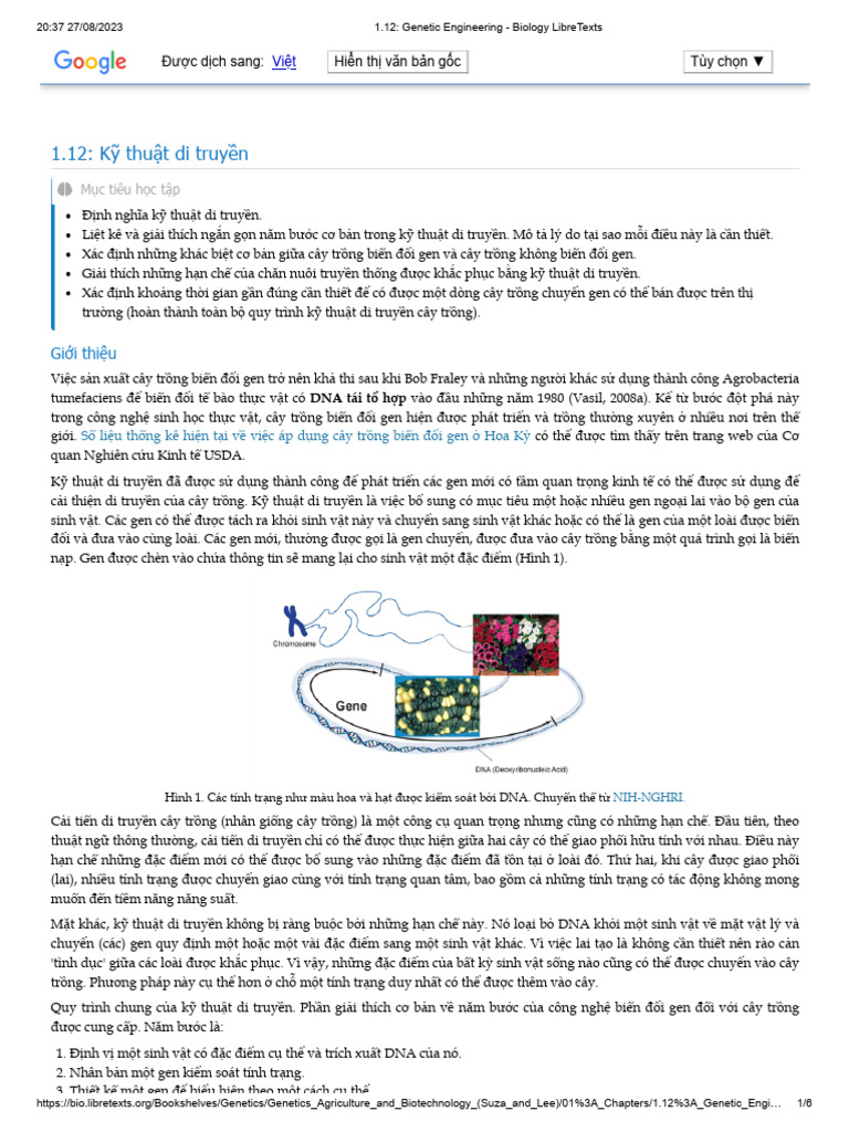 C 1. Genetic Engineering - Biology LibreTexts | PDF