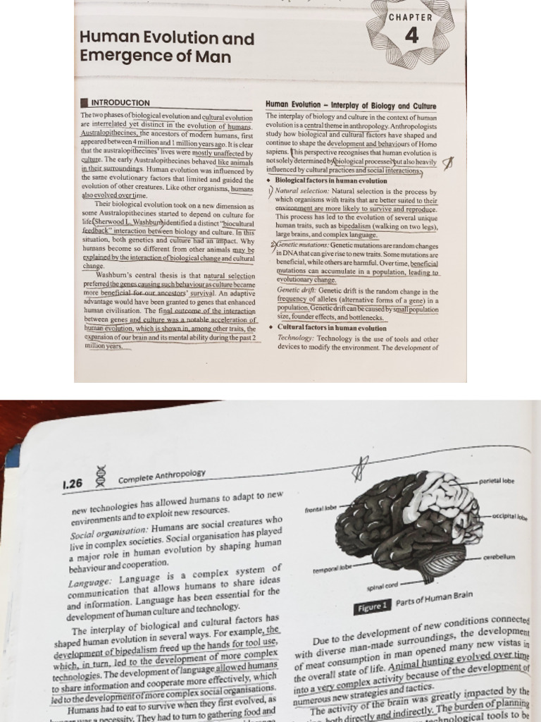 P 1 | PDF