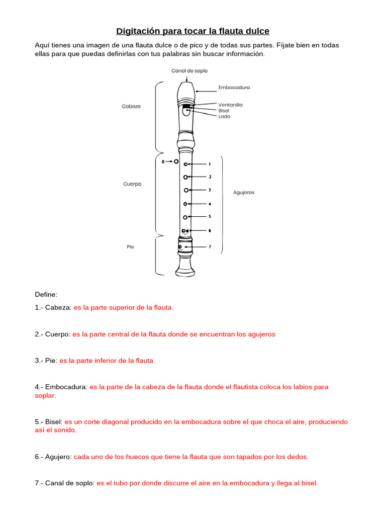 Digitación para tocar la flauta dulce | PDF