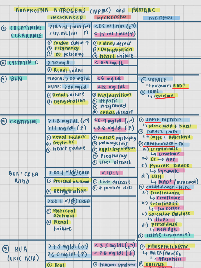 CC2 Proteins 4TH Year Notes | PDF