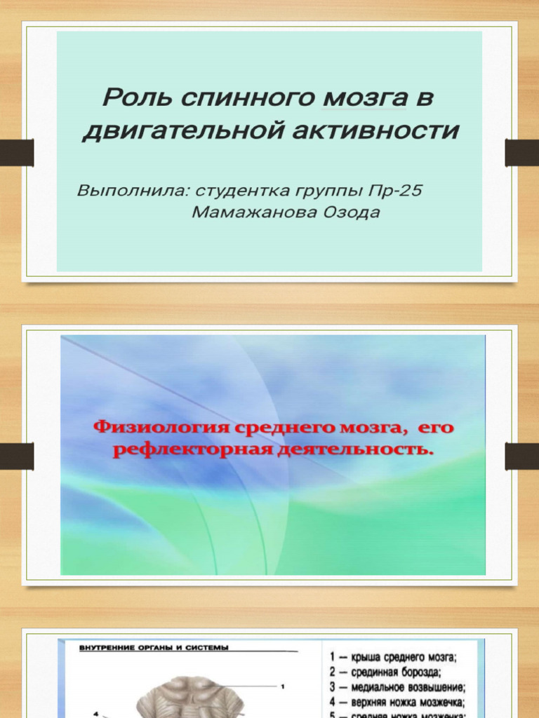 физиология | PDF