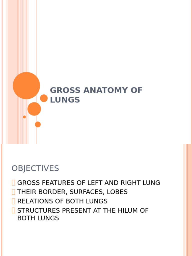 LUNGS LOCATION ANATOMY FUNCTION COMPLICATIONS visual data 7