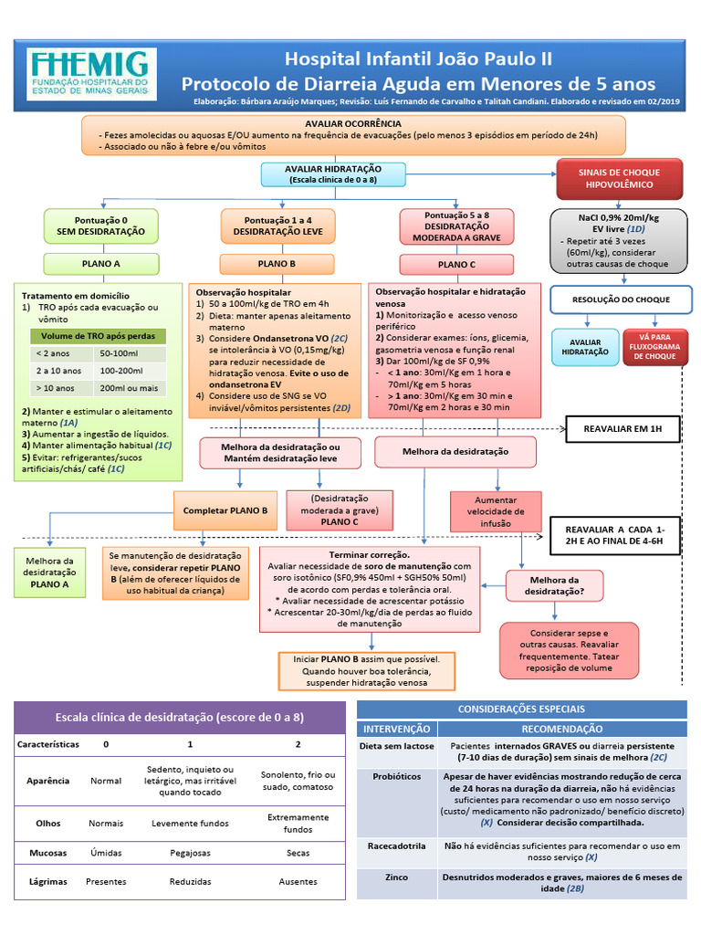 Protocolo de Tratamento da Diarreia Infantil | PDF | Gastroenterologia ...