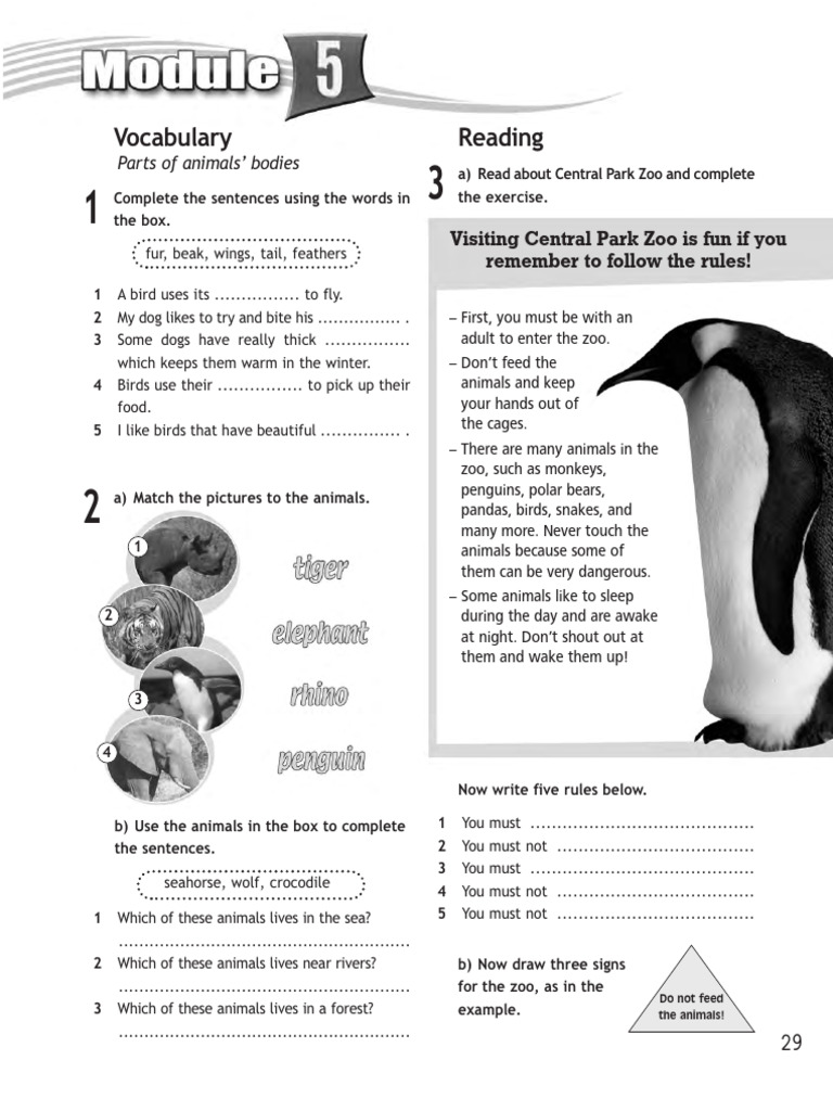 ACCESS 1A_module 4 | PDF | Zoo