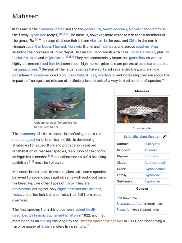 Mahseer - Wikipedia | PDF | Fish
