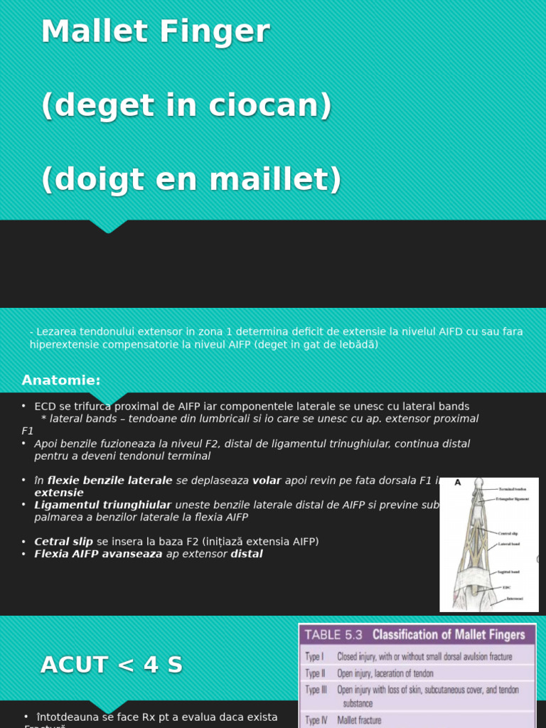 Mallet Finger | PDF