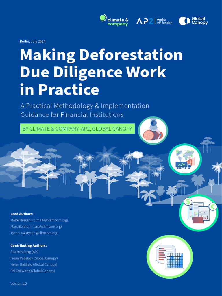 Making Deforestation Due Diligence Work in Practice - Climate Company ...