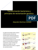 Transformación bacteriana y principios de vectorización genética