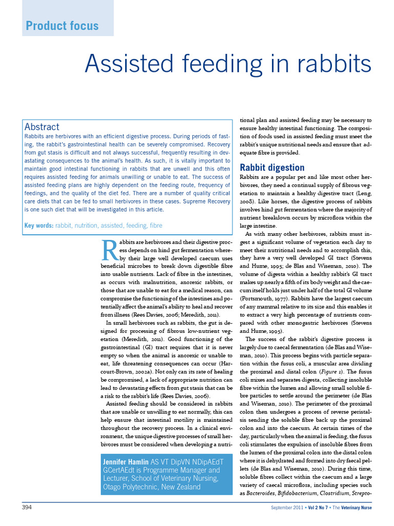 Rabbit Digestive Health & Assisted Feeding | PDF | Dietary Fiber | Diet ... - Customized Feeding Schedule For Rabbits With Food Sensitivities
