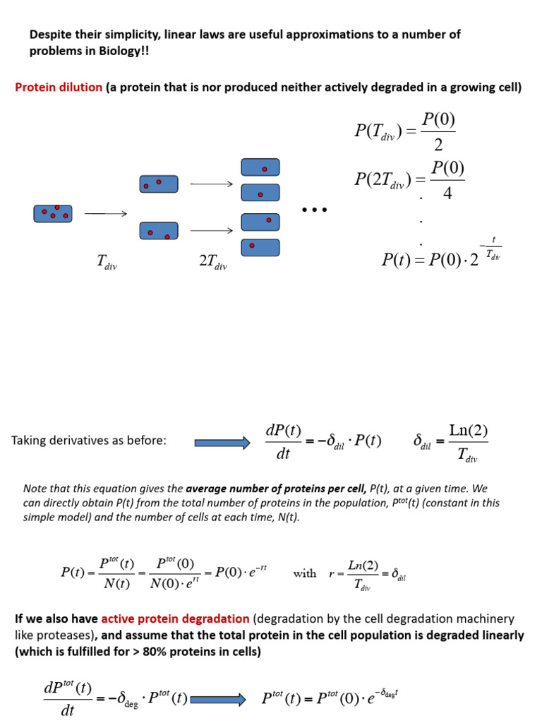 Class 2 Basic Concepts II | PDF | Messenger Rna | Biology