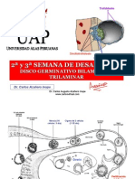 clase91discobilaminartrilaminar-090620230649-phpapp02