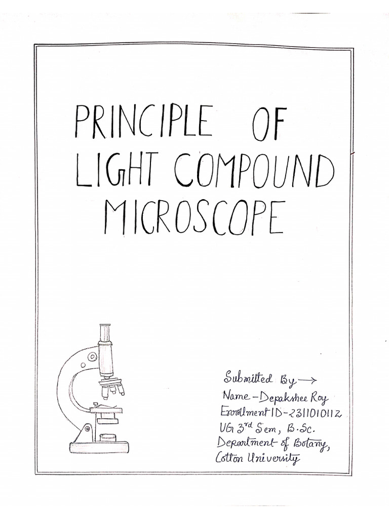 Principle of Light Compound Microscope | PDF