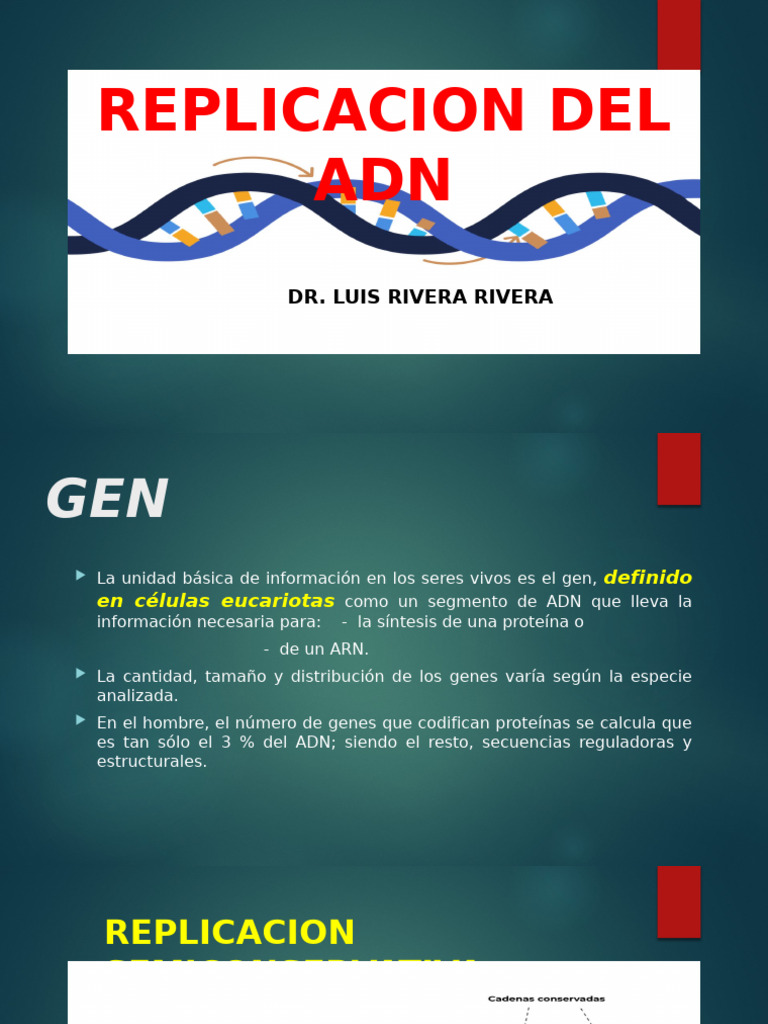 Replicación del ADN: Proceso y Enzimas | PDF | Replicación De Adn | Adn