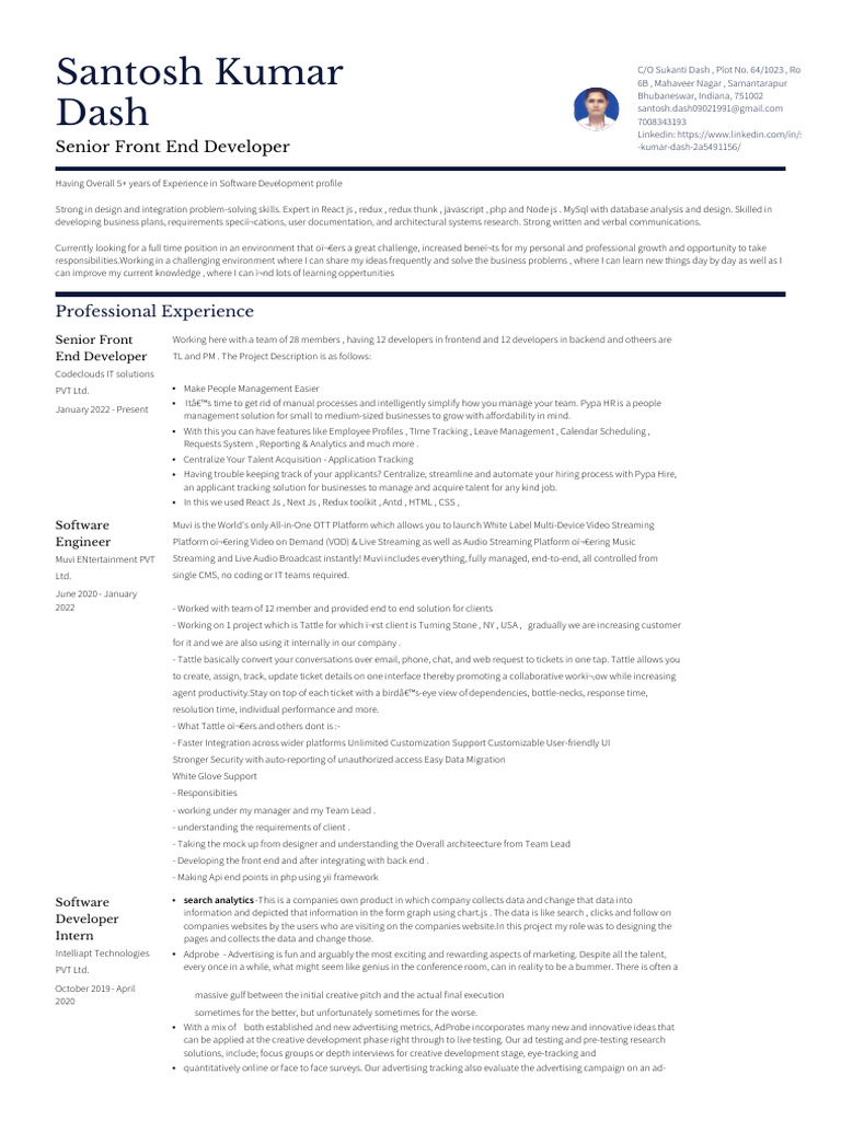 Senior Front End Developer Profile | PDF | Computing | Software Engineering