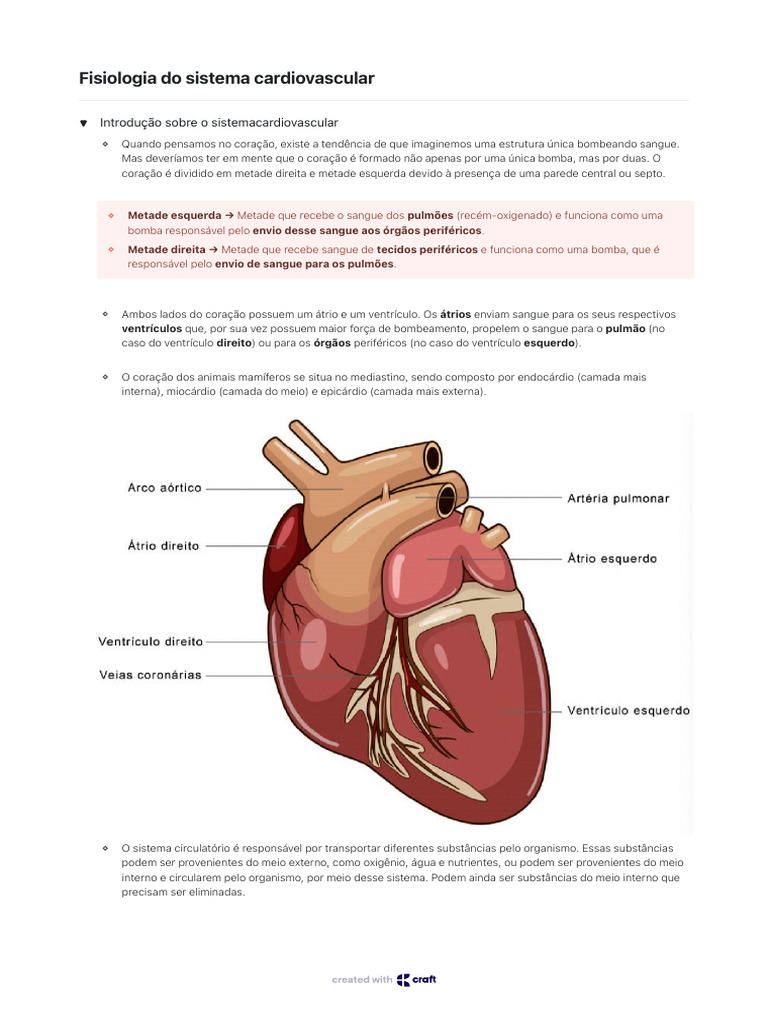 Fisiologia do Sistema Cardiovascular | PDF | Coração | Sistema circulatório