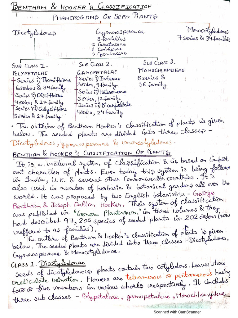 Bentham and Hooker's Classification | PDF
