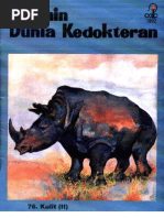 Download Cdk 076 Kulit II by revliee SN8019234 doc pdf