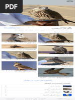 زب رائع - بحث Google‏ | PDF