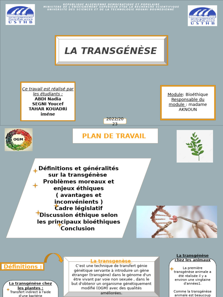 Theme 5 Transgenèse | PDF | Organisme génétiquement modifié | Biologie