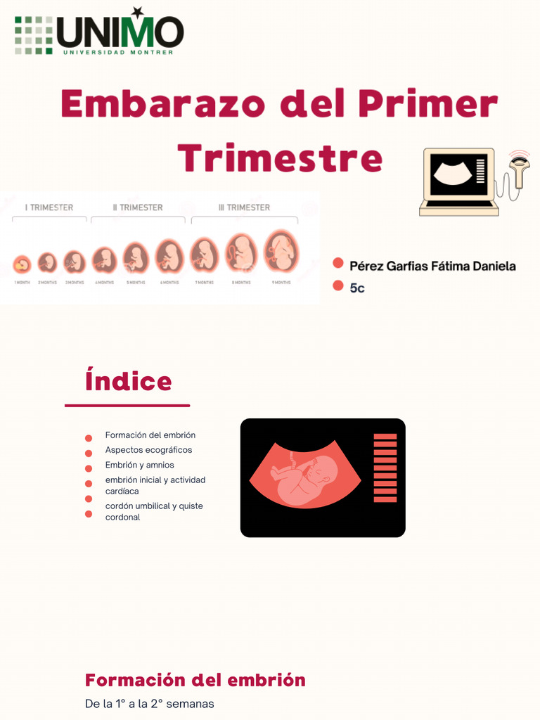 Embarazo Del Primer Trimestre 20241102 192935 0000 | PDF