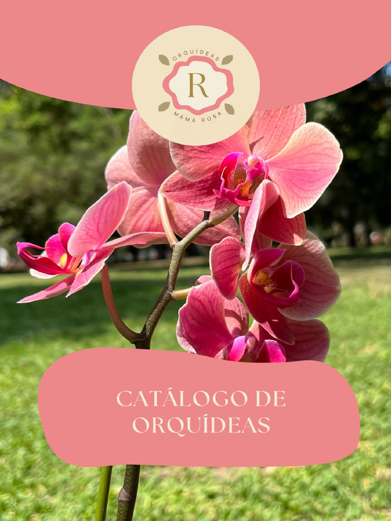 Mamá Rosa Catalogo | PDF