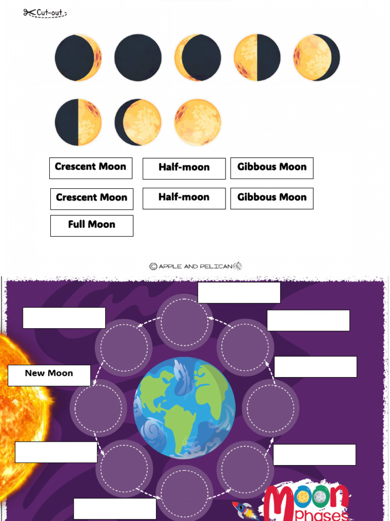 Moon Phases | PDF