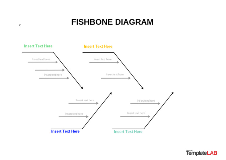 Fishbone Diagram: Insert Text Here | PDF