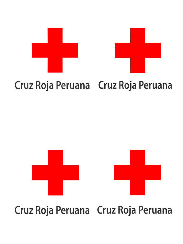 Logo Cruz Roja2.0 | PDF