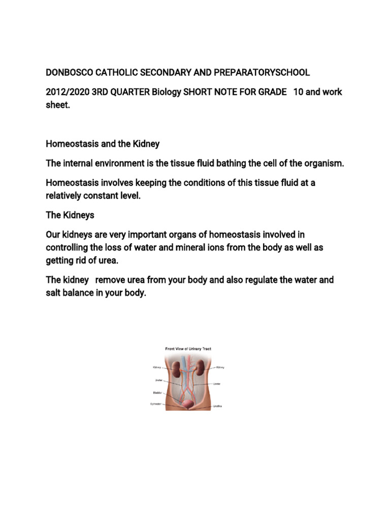 Biology Note and Work Sheet For Grade 10 | PDF