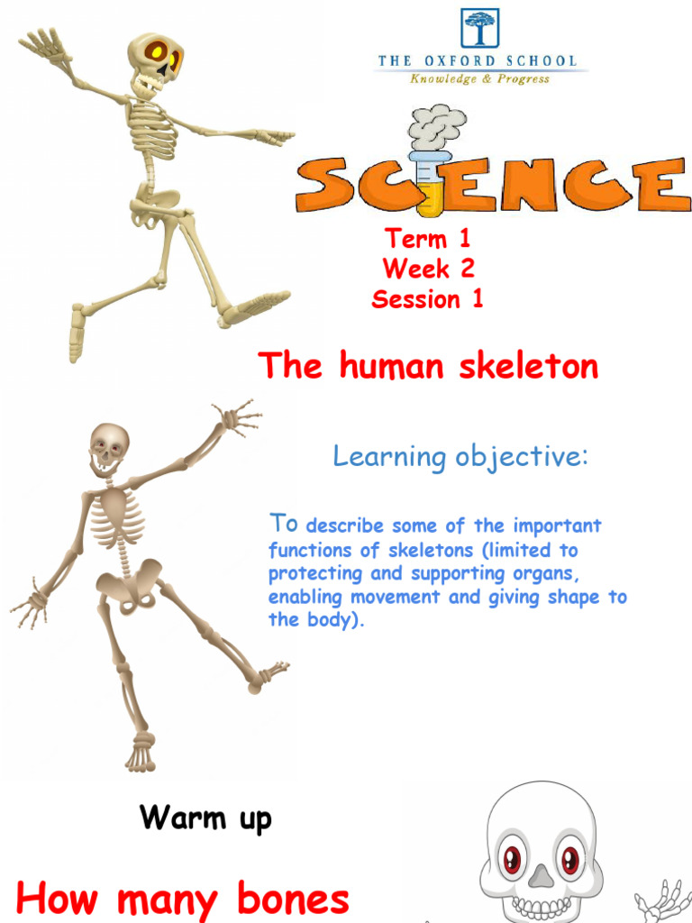 Science Term 1 Session 1 Week 2 | PDF