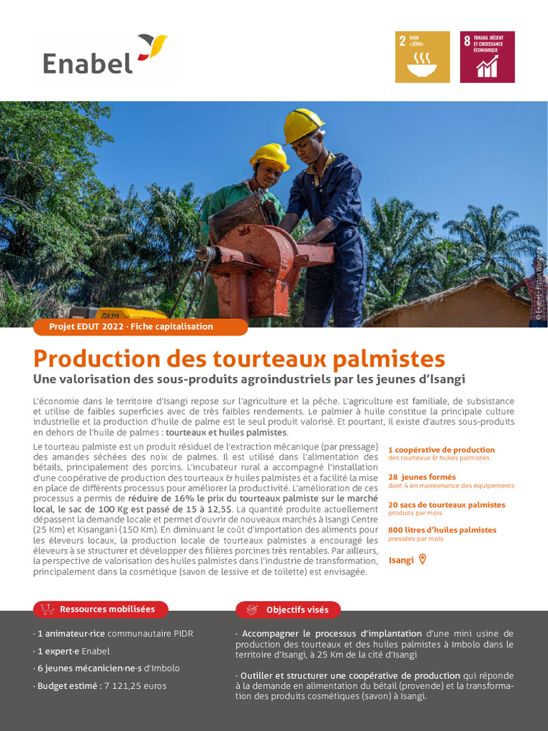Production de tourteaux palmistes à Isangi | PDF | Noix | Pétrole