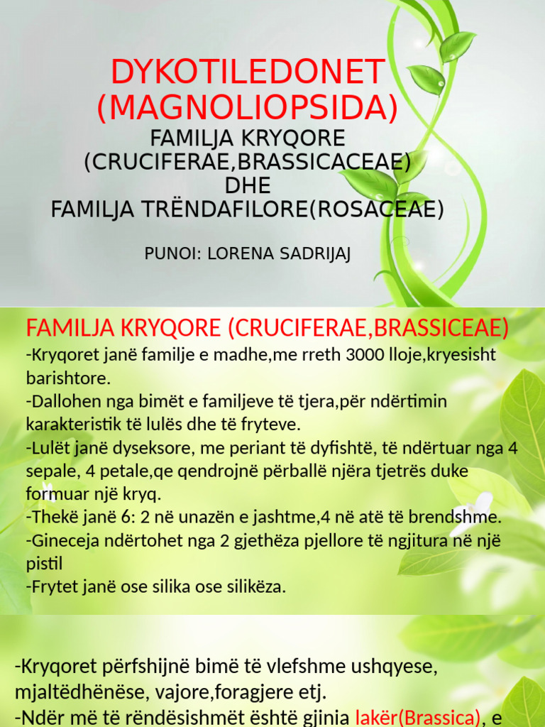 Dykotiledonet (Magnoliopsida) | PDF