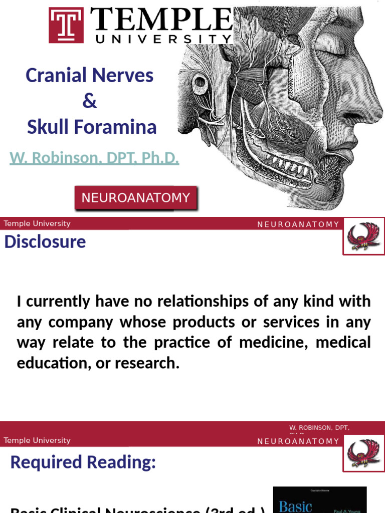 19 CranialNervesRobinson | PDF | Human Head And Neck | Human Anatomy