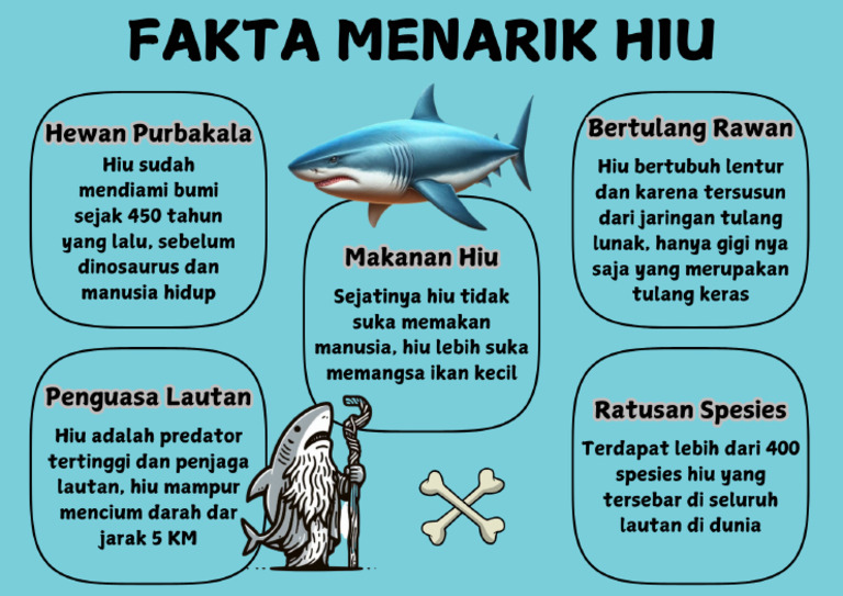 Hiu | PDF