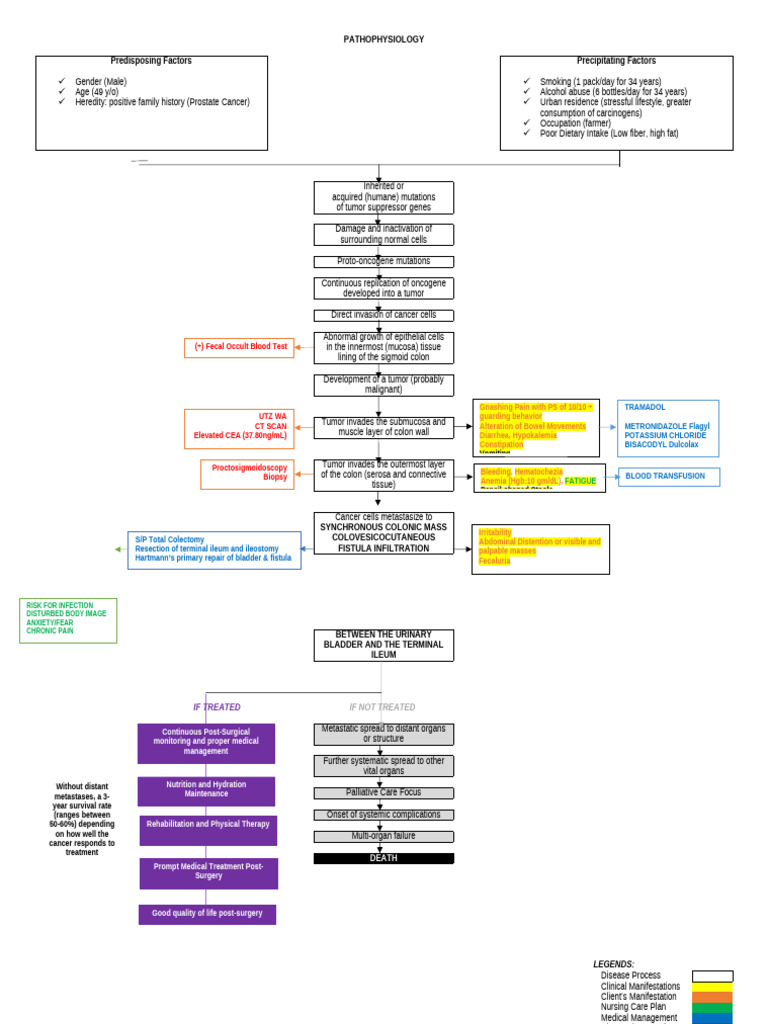 PATHOPHYSIOLOGY | PDF | Cancer | Colorectal Cancer