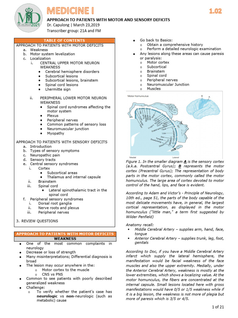 Medicine 0702 Approach To Patient With Motor and Sensory Deficits | PDF ...