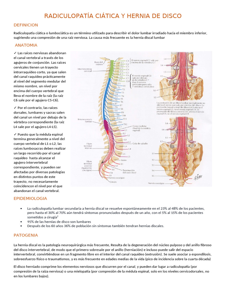 Radiculopatía Ciática y Hernia de Disco 2 | PDF | Sistema ...
