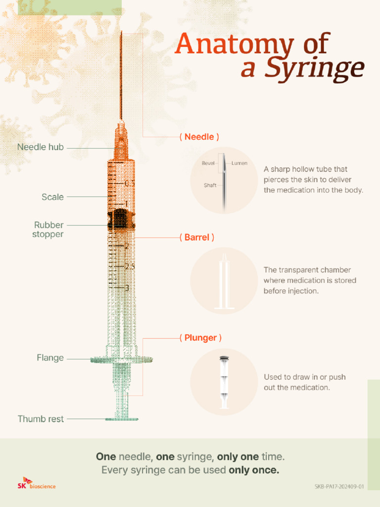 Anatomy of A Syringe | PDF