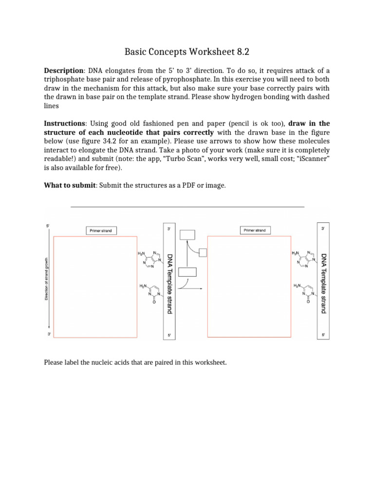 Basic+Concept+Worksheet+8 2 | PDF