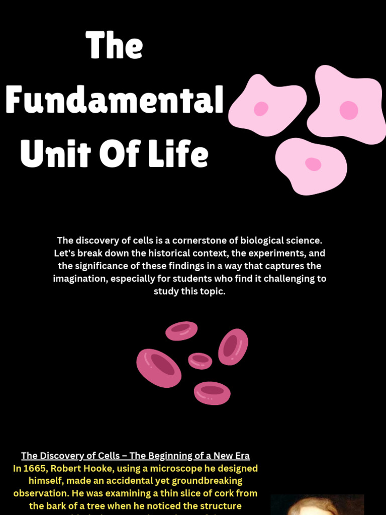 External Definition Biology