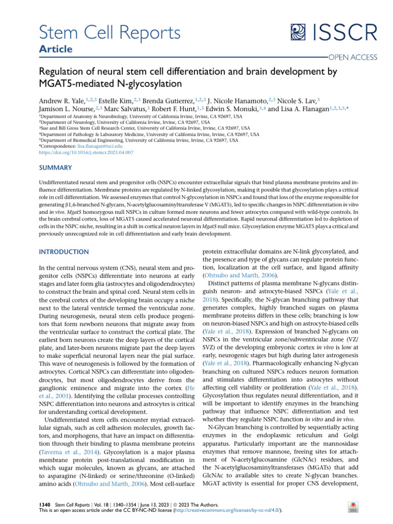 Regulation of Neural Stem Cell Differentiation and Brain Development by ...