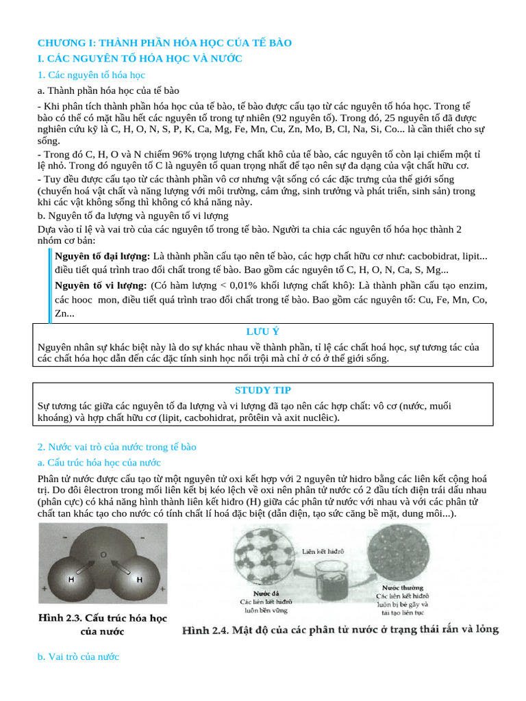 Thanh Phan Hoa Hoc Cua Te Bao | PDF
