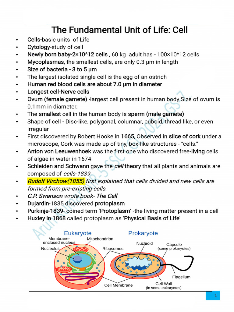 Cell Chapter Notes-Biology by Arun Kumar AIR-5 | PDF