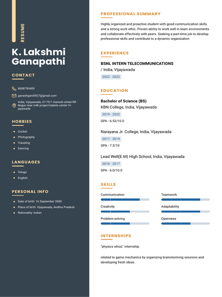 My Resume | PDF