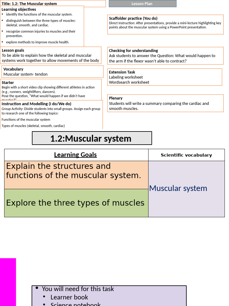 The Muscular System Week+6 | PDF | Muscle | Human Body